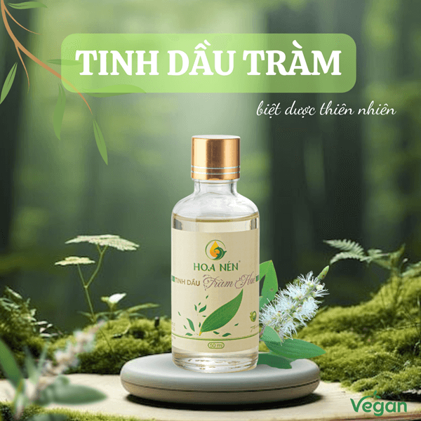 tinh dầu tràm huế hoa nén tinh dầu tràm huế hoa nén